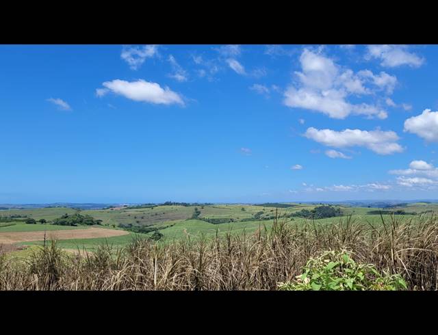 134HA FARM FOR SALE IN BALLITO RURAL
